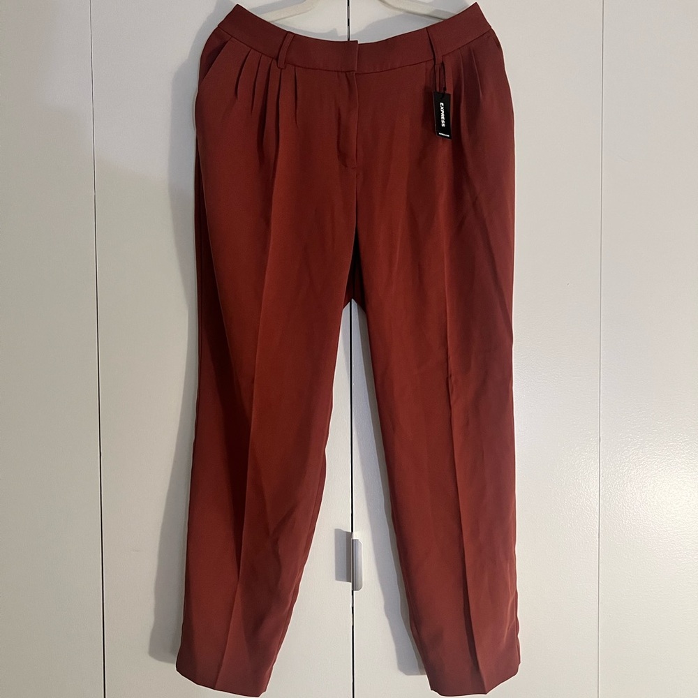 Express Terracotta Ankle High Rise Pants - Size 8R